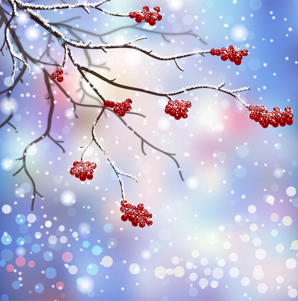 musim dingin adegan dengan buah cabang dan merah