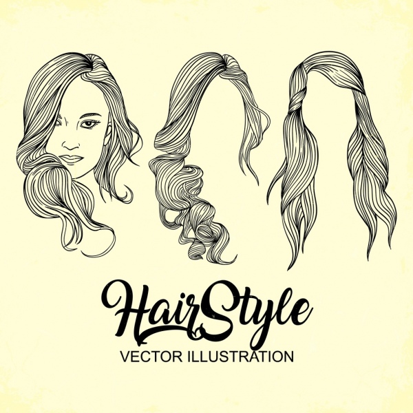 Woman Hairstyle Design Handdrawn Sketch-vector People-free Vector Free  Download