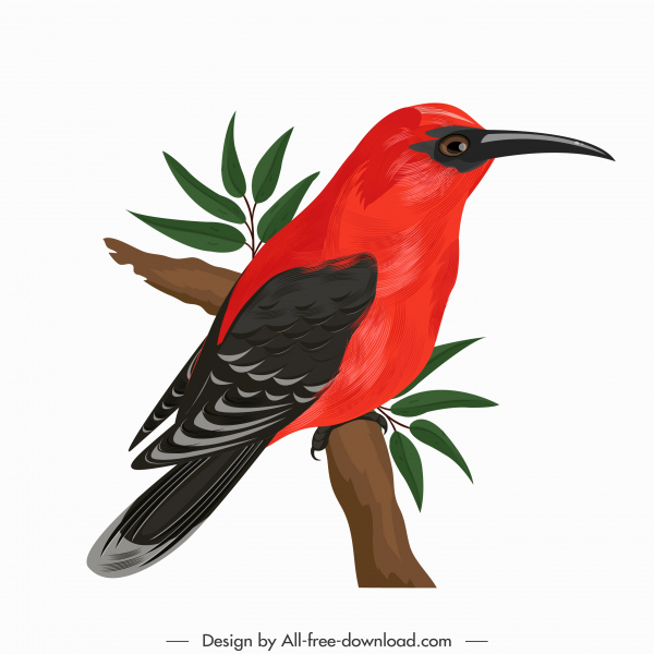 Woodpecker burung ikon berwarna-warni bertengger sketsa