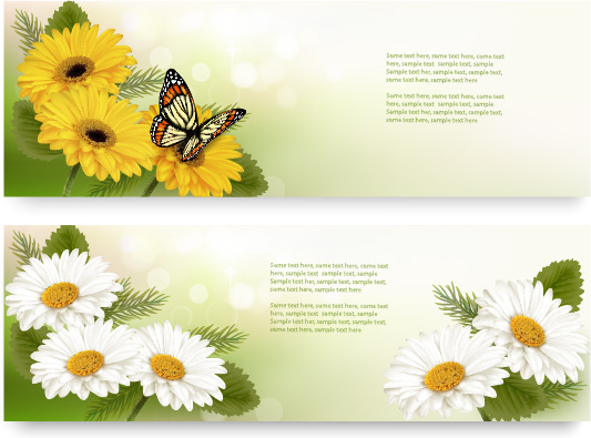 banner de flor amarela e branca com vetor de borboleta