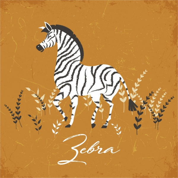 Zebra dibujo clasico diseño de colores