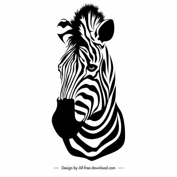 zebra ícone cabeça preto branco close-up esboço desenhado à mão