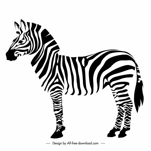 ícone zebra plano de volta branco esboço desenhado à mão