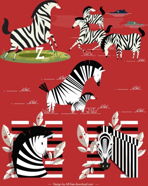 Zebra ícones preto listras brancas decoração