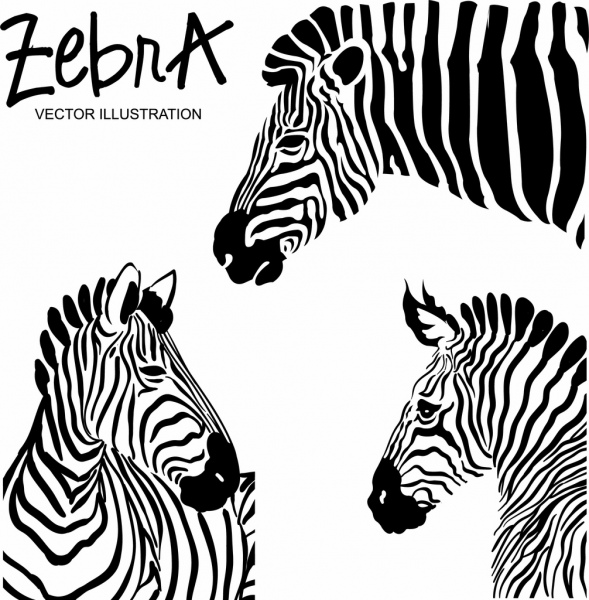 decoração de preto listras brancas de ícones de zebra