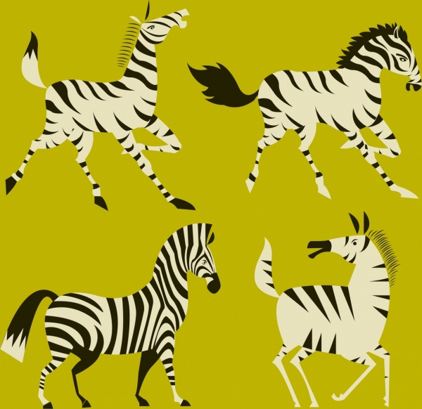 coleção de ícones de zebra colorido projeto dos desenhos animados