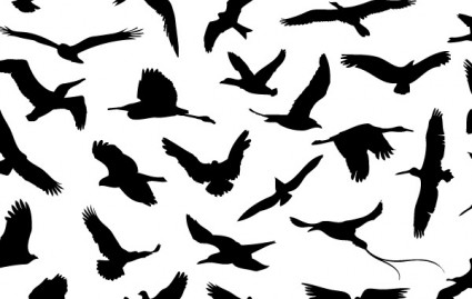 30 verschiedene fliegende Vögel