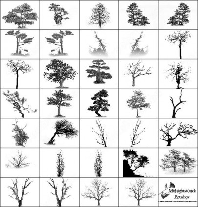 35 photoshop pohon sikat