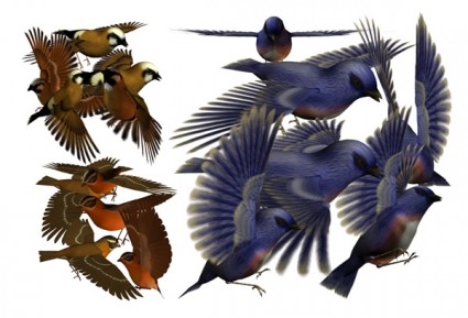 psd de aves 3D en capas