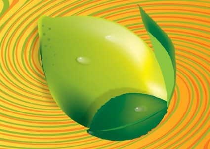 3D vector de limão