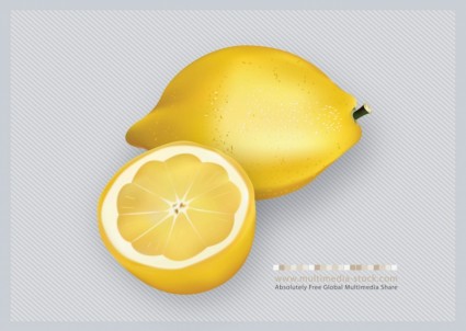3D buah lemon vektor