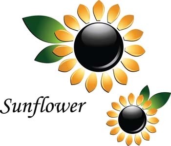 Sonne Blume Vektor Blume 3D-Vektor Beihilfen Vektor Ai Illustrator Adobe Illustrator Photoshopd Vektor Design Sonne Blume Ai illustrator