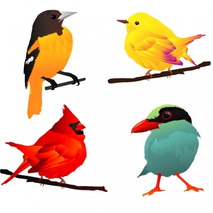 4 wunderschöne Vögel