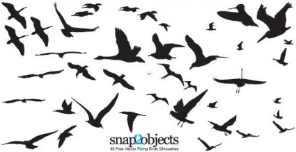 46 свободных векторных летающих птиц силуэты