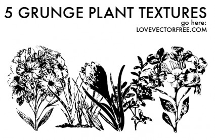 5 Grunge Plant Textures By Lvf