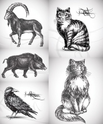 5 ręcznie malowane zwierzęta wektor