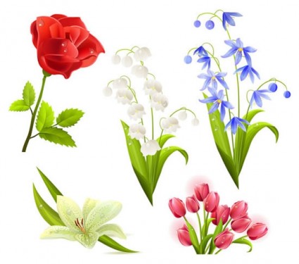 5 đẹp hoa vector