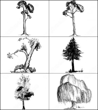 6 Salut res doodled brosse d'arbres