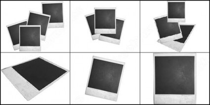 6 polaroid bàn chải