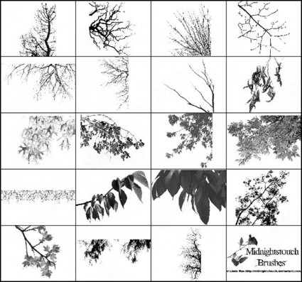 60 Photoshop Tree Branches Brush