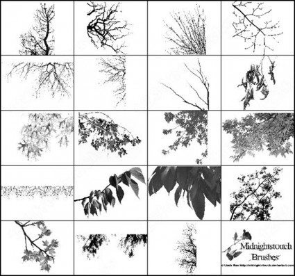나뭇가지 60 포토샵 브러쉬