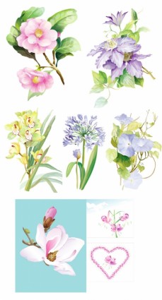 7 elegante Aquarell Blumen Vektor