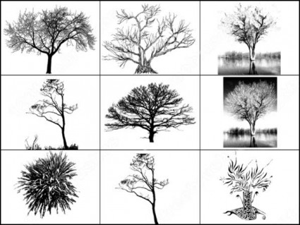 9 pohon sikat