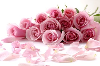 buket mawar merah muda gambar