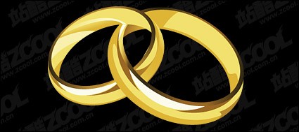 une paire d'anneaux d'or