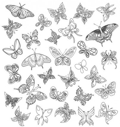 разнообразные бабочки вектора