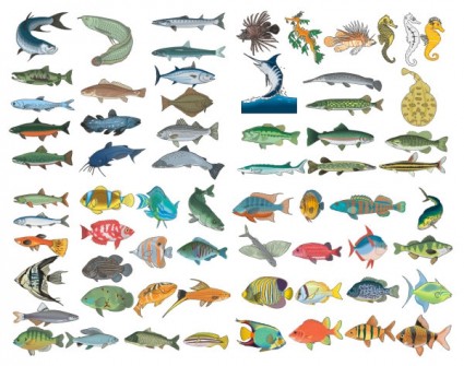 A Variety Of Fish Vector