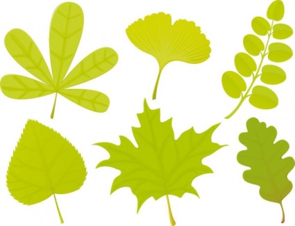 una variedad de vectores de formas de hojas