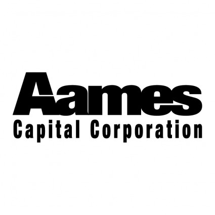 aames 자본 주식 회사
