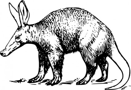 Aardvark clip nghệ thuật