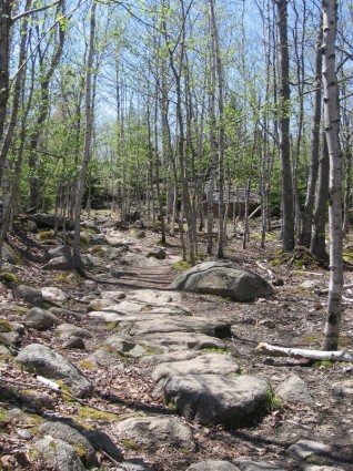 paysage de maine pour le parc national Acadia