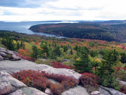 paysage de maine pour le parc national Acadia