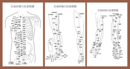 Meridian Akupunkturpunkte mit Bezug auf die Körper-Karte