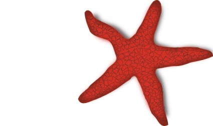 addon merah starfish clip art