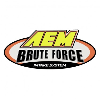 Aem Brute Force