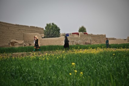 أفغانستان مزرعة امرأة