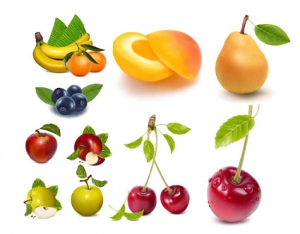 Ai-Vektor Zeichnung lebensechte Früchte