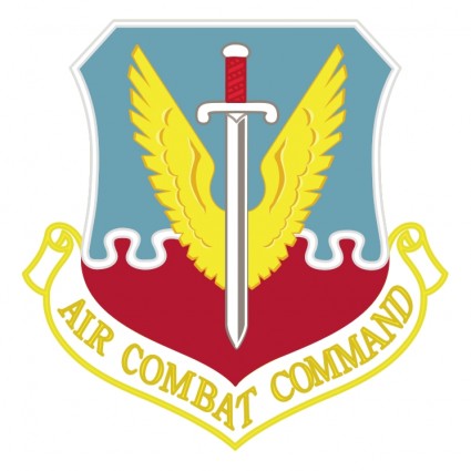 comando de combate aéreo