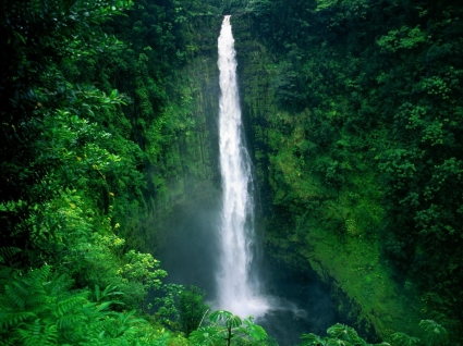 Akaka Falls Wallpaper Waterfalls Nature