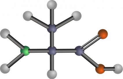 alanina amino-ácido