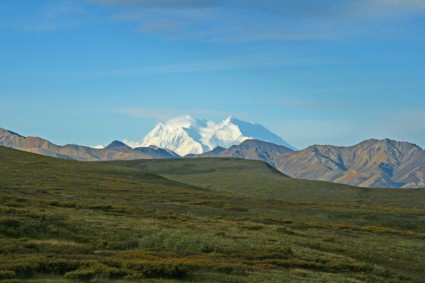 Alaska denali hoang dã