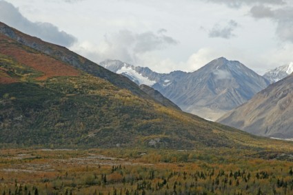 montañas de bosque de Alaska