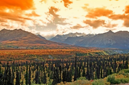 Alaska Landscape Scenic