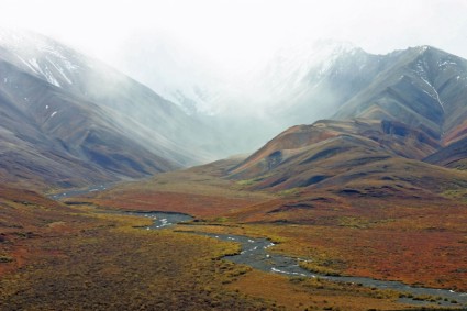 toundra des montagnes de l'Alaska