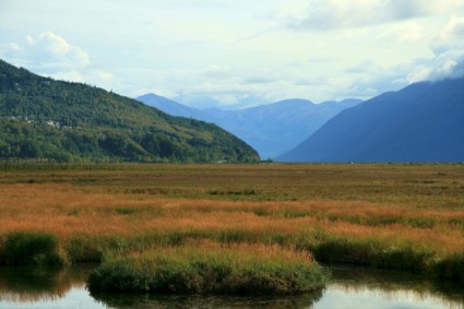 montagnes de toundra de l'Alaska