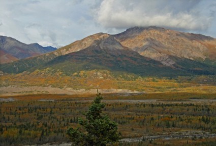 Khu hoang dã lãnh nguyên Alaska